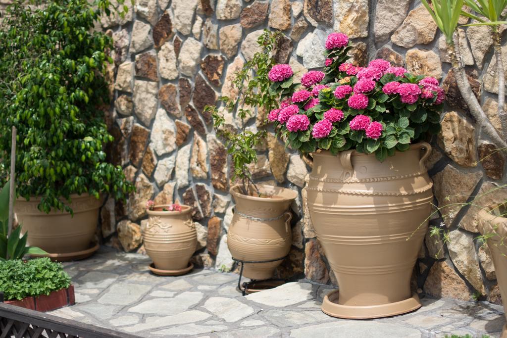 Dione Apartments Ouranoupoli Dış mekan fotoğraf